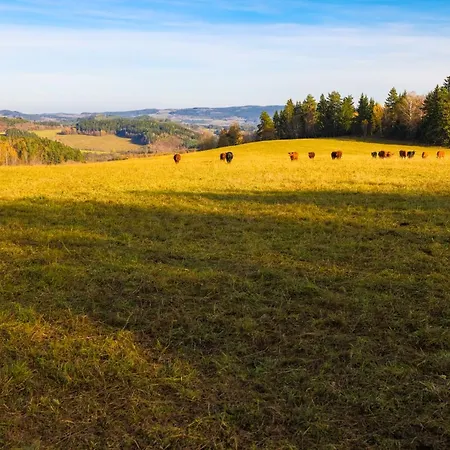 Apartment Tiny House - Martinka *